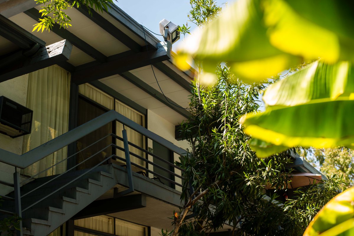 Nithya Raman tweet media