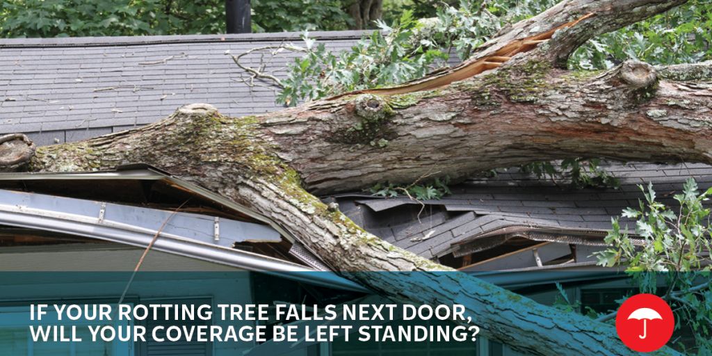 ErinMillington's tweet photo. Umbrella insurance can provide coverage above your primary homeowners liability limits. Are you protected from the “what-ifs?” Click to learn more or ask us about Umbrella insurance.
 https://t.co/FcmhEBNWt9 https://t.co/NG2NTugvet