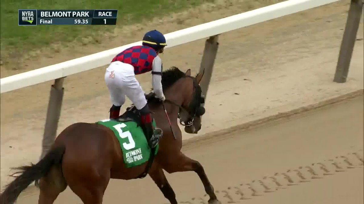 NYRA (🌳) on Twitter "PRINCESA CELINA wins the opener of the Belmont