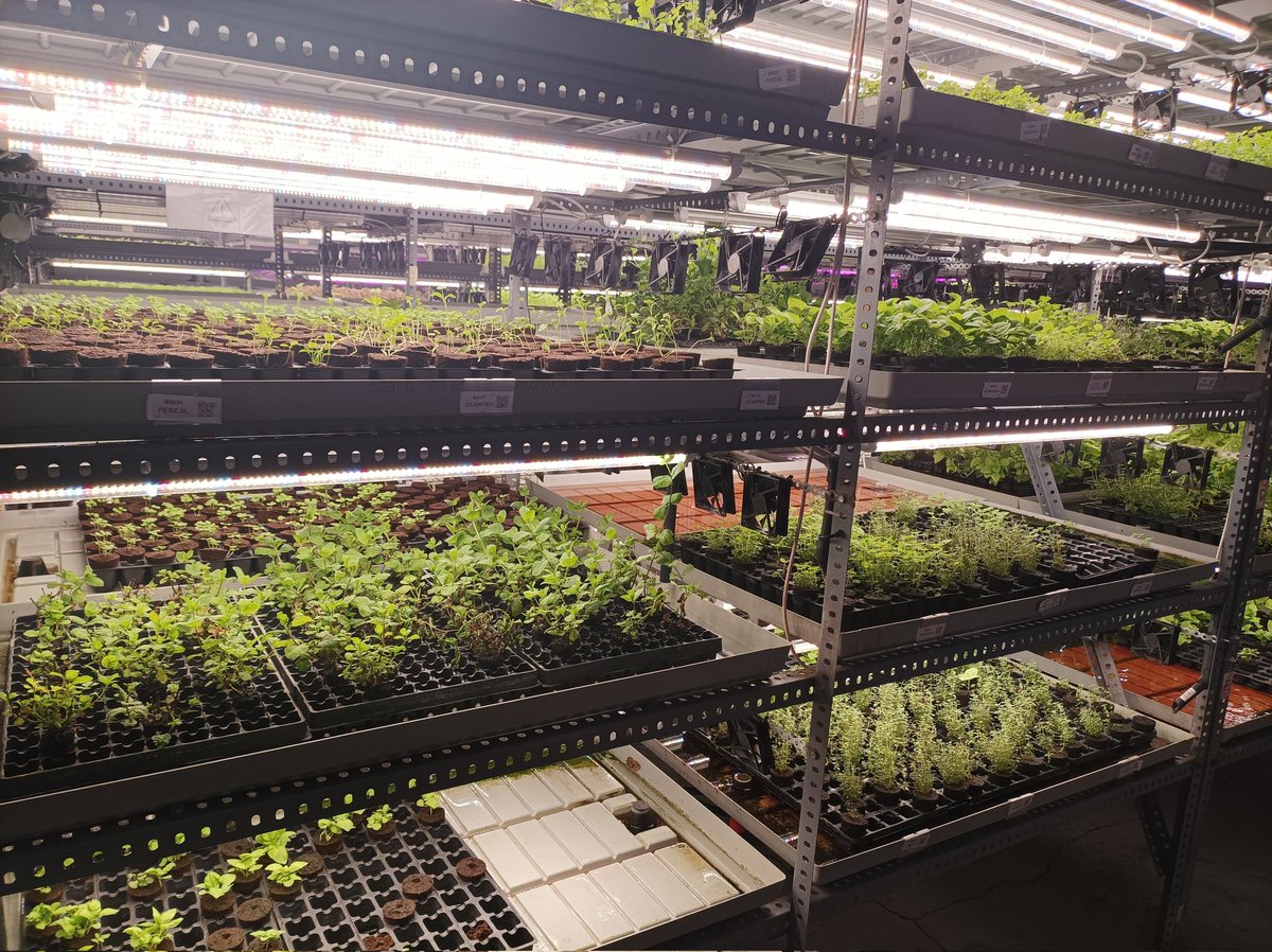 TinaNava's tweet photo. ¡Y seguimos con una visita a nuestra medida!. Visitamos las instalaciones de @grootsfarming que nos posibilita ampliar nuestra mirada y seguir aprendiendo de auténticos y reales #WorldShakers 🙌🏻🙌🏻🙌🏻 ¡Mil gracias! #TheChallengeByEduCaixa https://t.co/CHhybyt3lo