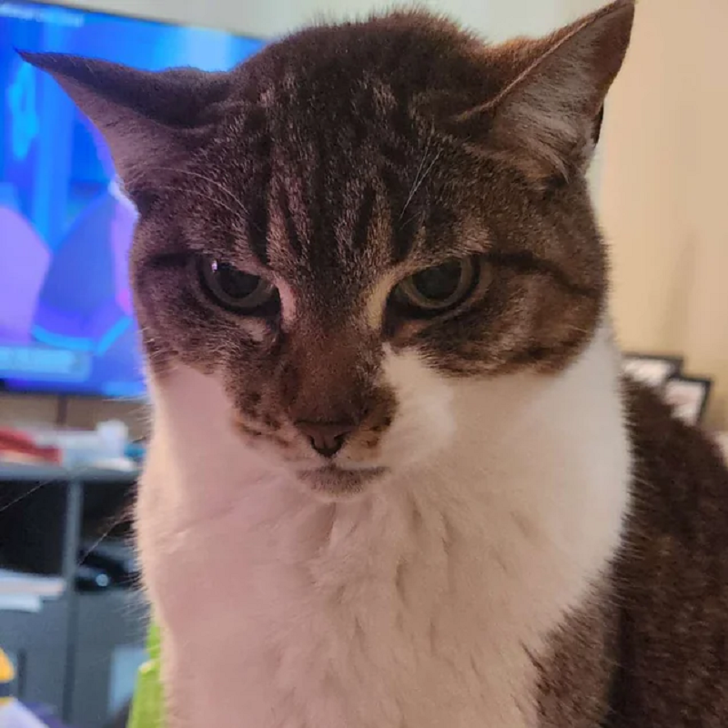 SpawnCamped irl (@spawncampedirl) on Twitter photo 