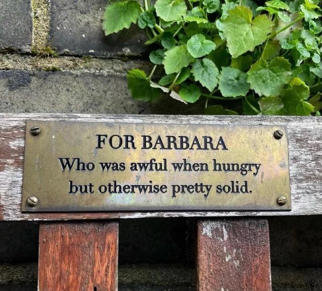 adamgreattweet's tweet photo. hope someone says this about me one day https://t.co/mrY1mp4wxw