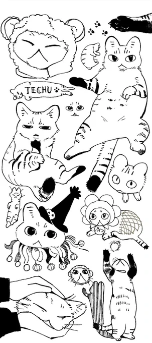フォロワーのねこち