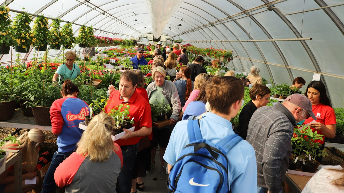 unlagrohort's tweet photo. Opening day for the @UNL_Hort_Club spring bedding plant sale is busy. Open today and May 5 from 9 a.m. to 4 p.m. and May 6, from 9 a.m. to 1 p.m. at the Teaching Greenhouse West on East  Campus. More info at https://t.co/9CweZmIhxm. #UNL #UNLAgroHort  @UNL_IANR  @UNL_CASNR https://t.co/uzFqPXhthE