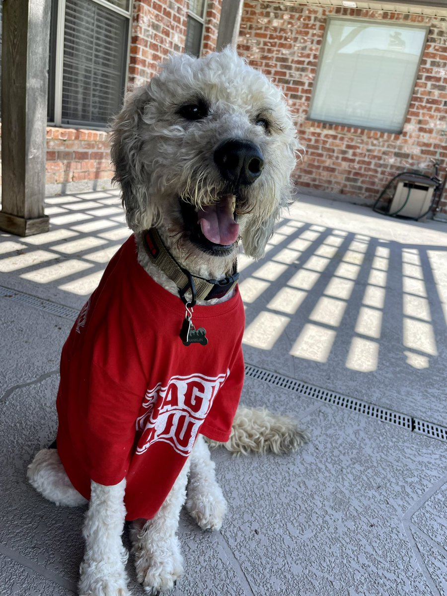 Kyonce88's tweet photo. Hey @RaginCajunsBSB @RaginCajuns @RaginCajunsSB @RaginCajunsFB  if you’re looking for a mascot, I have a handsome one right here! https://t.co/taDHyqO9q5