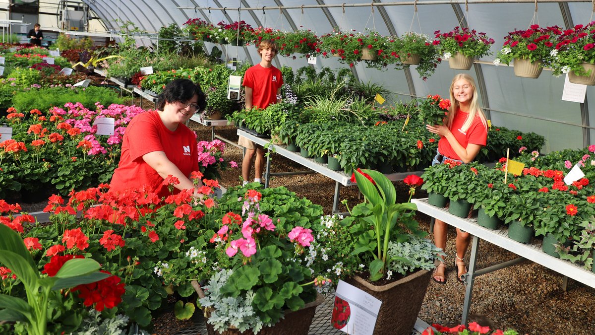 unlagrohort's tweet photo. Opening day for the @UNL_Hort_Club spring bedding plant sale is busy. Open today and May 5 from 9 a.m. to 4 p.m. and May 6, from 9 a.m. to 1 p.m. at the Teaching Greenhouse West on East  Campus. More info at https://t.co/9CweZmIhxm. #UNL #UNLAgroHort  @UNL_IANR  @UNL_CASNR https://t.co/uzFqPXhthE