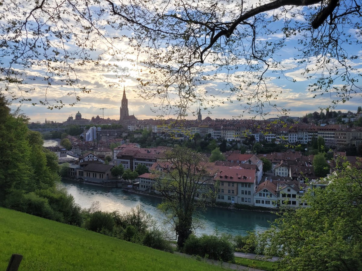 Tom Berger tweet media