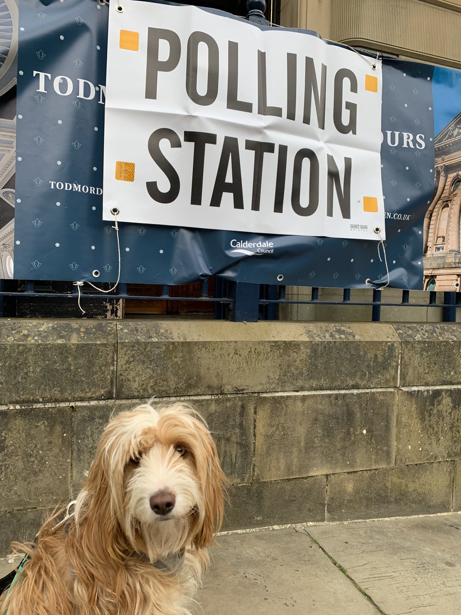 chouffester's tweet photo. #dogsatpollingstations Roobarb’s first time and apparently I better hurry as there’s some puppy classes to get to. I think she may be tapping her paw https://t.co/odJ74mmAqP