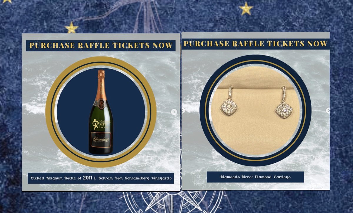 You can start bidding on our Gala raffle items! Click on the link to see the amazing items, experiences and trips up for grabs.  💜💎🥂💜

linktr.ee/mpssociety

#MPSGala2023 #NationalMPSSociety #MPSAwarenessDay2023 #MPSGala #MaritimeGala #MPSML #SilentAuction #HarboringHope