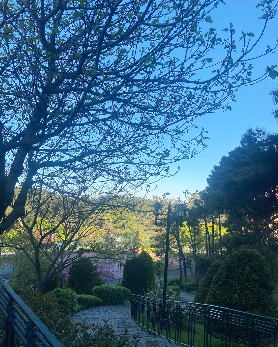 #antropoloji #anthropology #arkeoloji #archaeology #sosyoloji #sociology #yeditepeüniversitesi #yeditepeuniversity #sosyalbilim #socialscience #socialtheory #tercih @yeditepe_fef @yeditepeuniversitesi