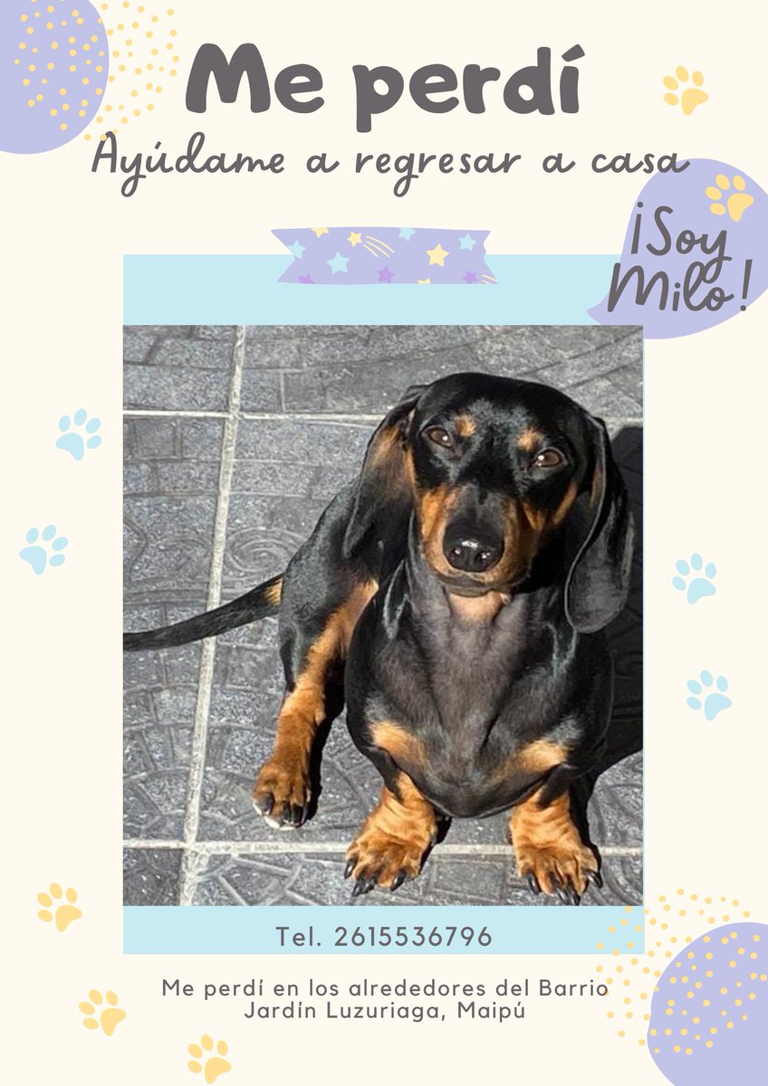 Compartan porfavor, es mi perro!