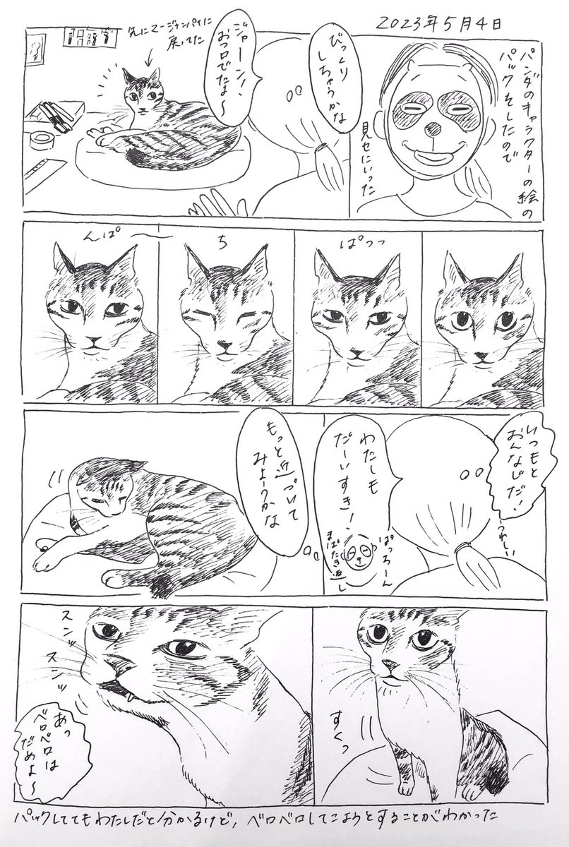 2023/5/4のぎんちゃん #今日のぎんちゃん