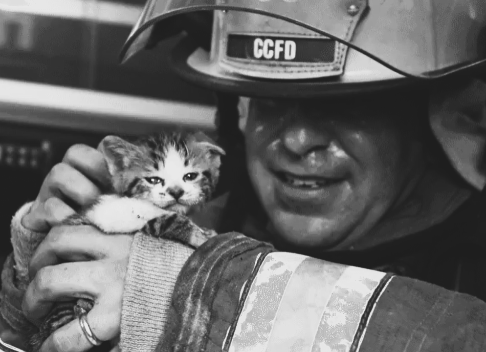 May God bless you and guard your steps, beautiful people. #InternationalFirefightersDay 📸AP