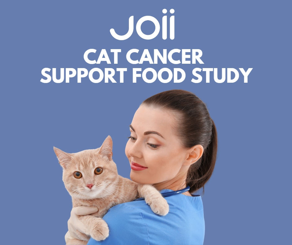 Our vet care provider <a href="/PetJoii/">Joii</a> has partnered with a pet food manufacturer in a study to assess a new food that has been prepared especially for cats with different types of malignant cancer.

Find out more and get involved in the study here: joiipetcare.com/pages/cat-canc…