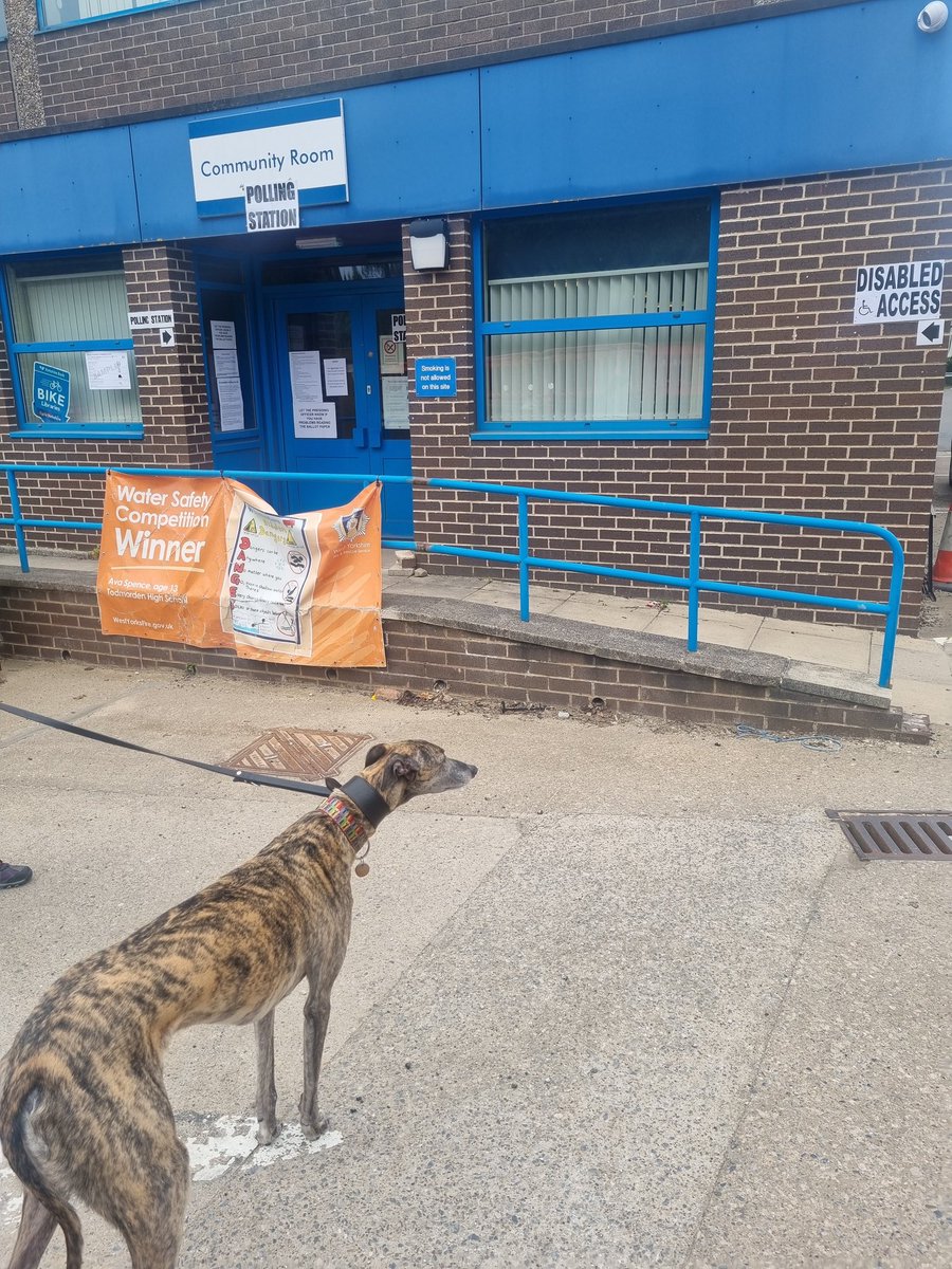 mintblack7's tweet photo. Reginald voting for the extra biscuits parry #dogsatpollingstations https://t.co/FJSt8nvksL