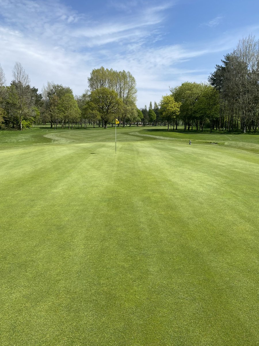 I knew there was a golf course somewhere hiding underneath all that rain