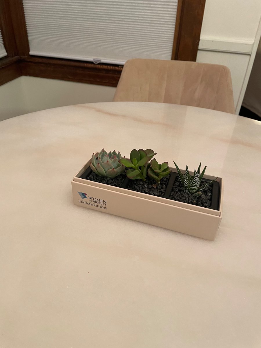 Can’t wait to speak at #23WIP - join me and > 🌎 3,000 product leaders on May 9 and 10! womenpm.org/conference/ Thanks <a href="/womenpm/">Women In Product</a> for having me again and for the gorgeous <a href="/lulasgarden/">Lula's Garden</a> succulent. #BuildWhatsNextPM #womeninproduct #productmanagement #womenintech #diversityintech