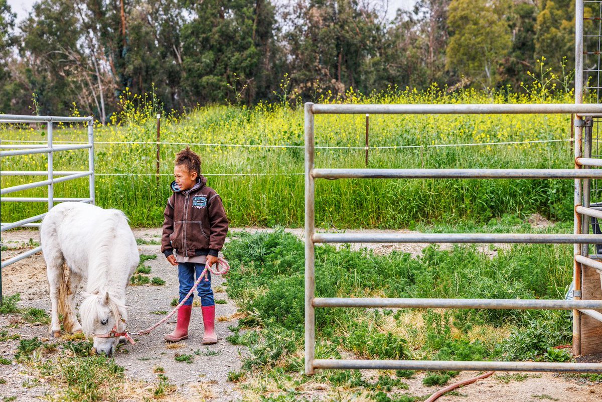 nick otto tweet media