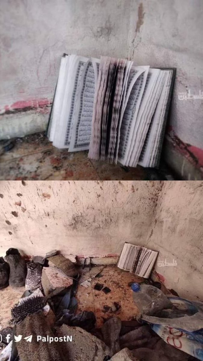 هكذا كان زاد المجاهدين ،،
قرآنٌ ورصاص✌️🌿🇵🇸
سلامٌ عليكم بما صنعتم فنعم عقبى الدار 🧡#نابلس