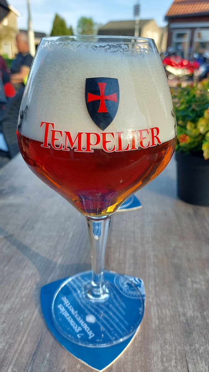 fittige_kitten's tweet photo. Proost! #tempelier https://t.co/jyAuKJwWbq