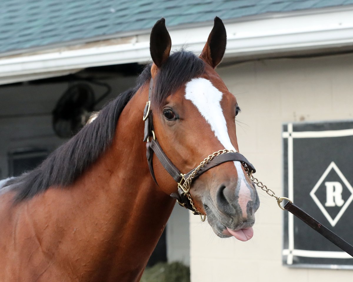 Brisnet's tweet photo. A message from #CycloneMischief to all his haters 👇 https://t.co/rxmw2LAN8l