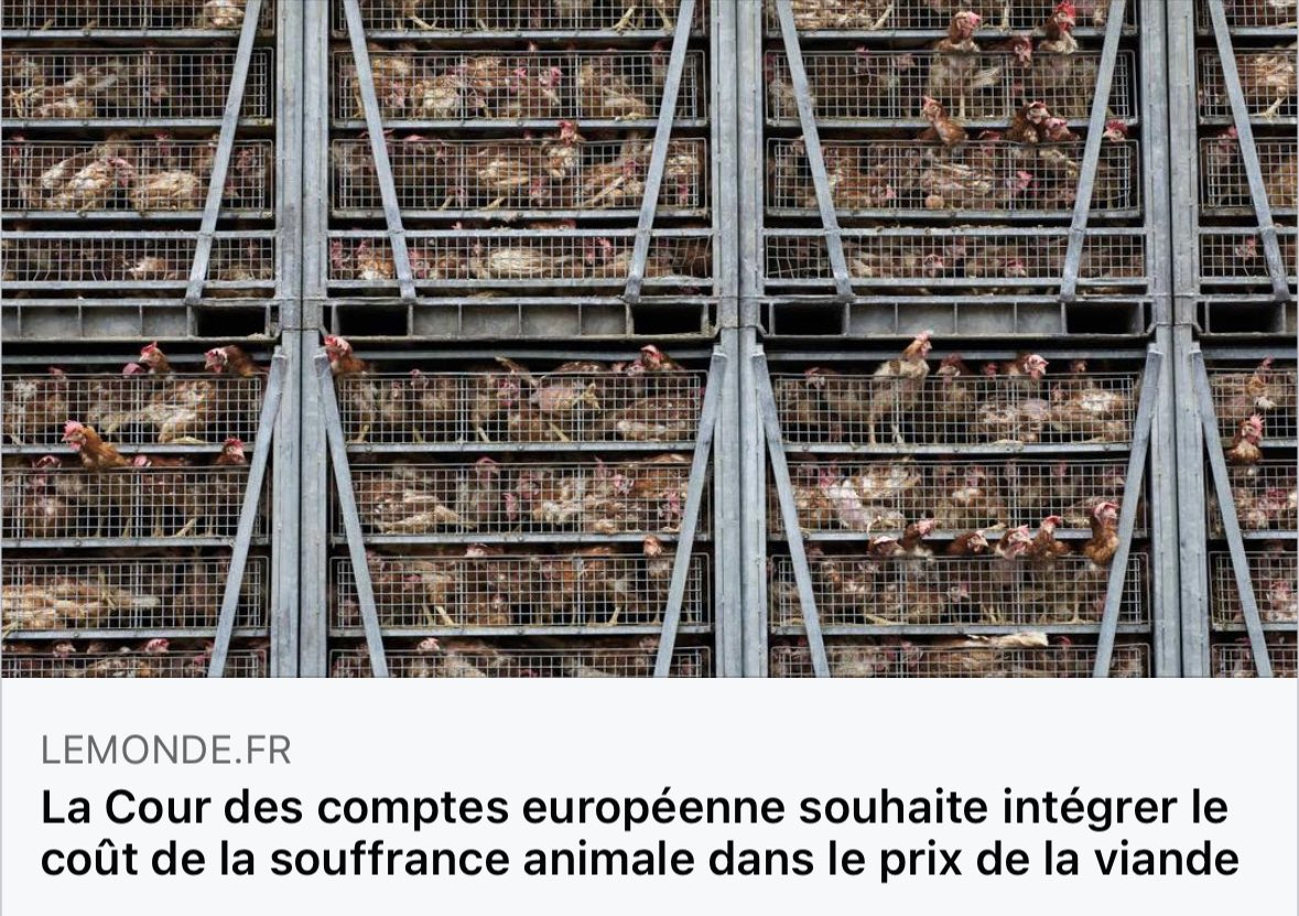 🤡 La Cour des comptes européenne souhaite intégrer le coût de la #SouffranceAnimale dans le prix de la viande. 
🧹 Ils ne sont pas élus, ils vivent sur une autre planète et ils détestent le peuple. Vivement le grand ménage !