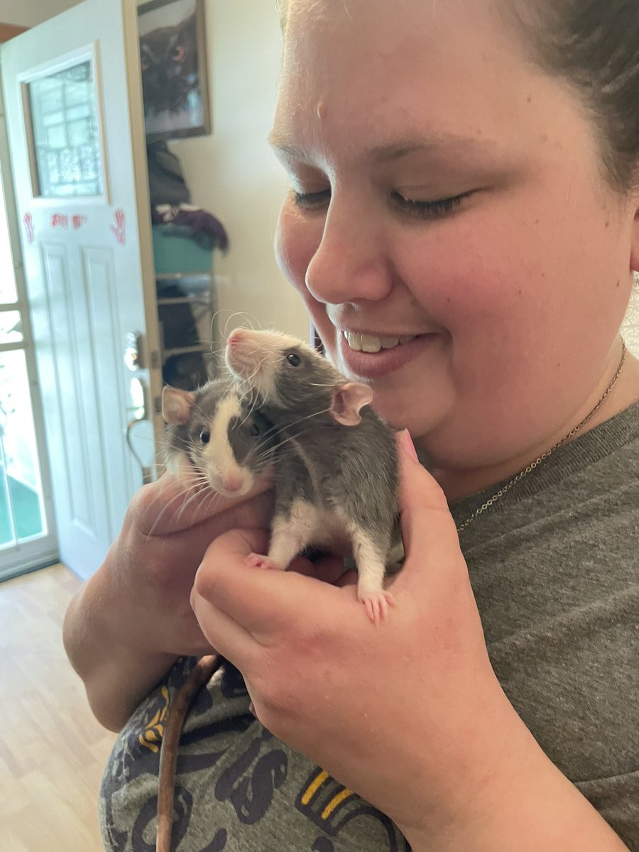 SparksofLight29's tweet image. I’m officially coming back to streaming on Sunday! Time TBA but in the meantime I hope you all enjoy some of new emotes made by the amazing @AndreaArtistic inspired by my babies, Willow, Sage, Janet, &amp;amp; Rita!