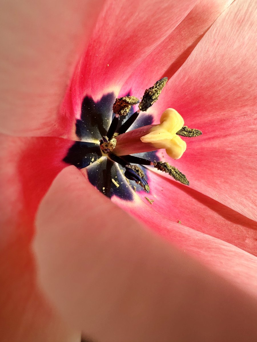 ifelsetom's tweet photo. Spring finally arrived in Munich. https://t.co/5mMXOyVkJE