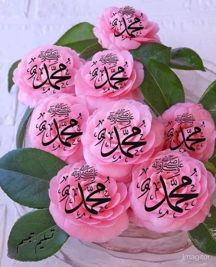 Muhamma53074277's tweet photo. @husain786__fkh @hussain786_fkh SUBHANALLAHA WA JAZAKALLAHA BETA KHUSH RAHO..AMEEN. https://t.co/VPKPbNwwGp