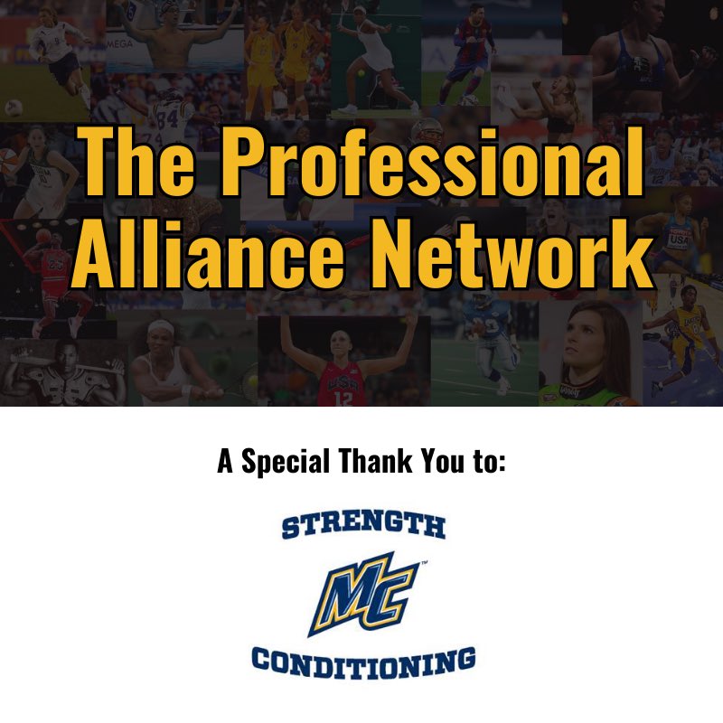 ⚡️The Professional Alliance Network

🤝🏼Thank you <a href="/coach_kamalMC/">Michael Kamal</a>!