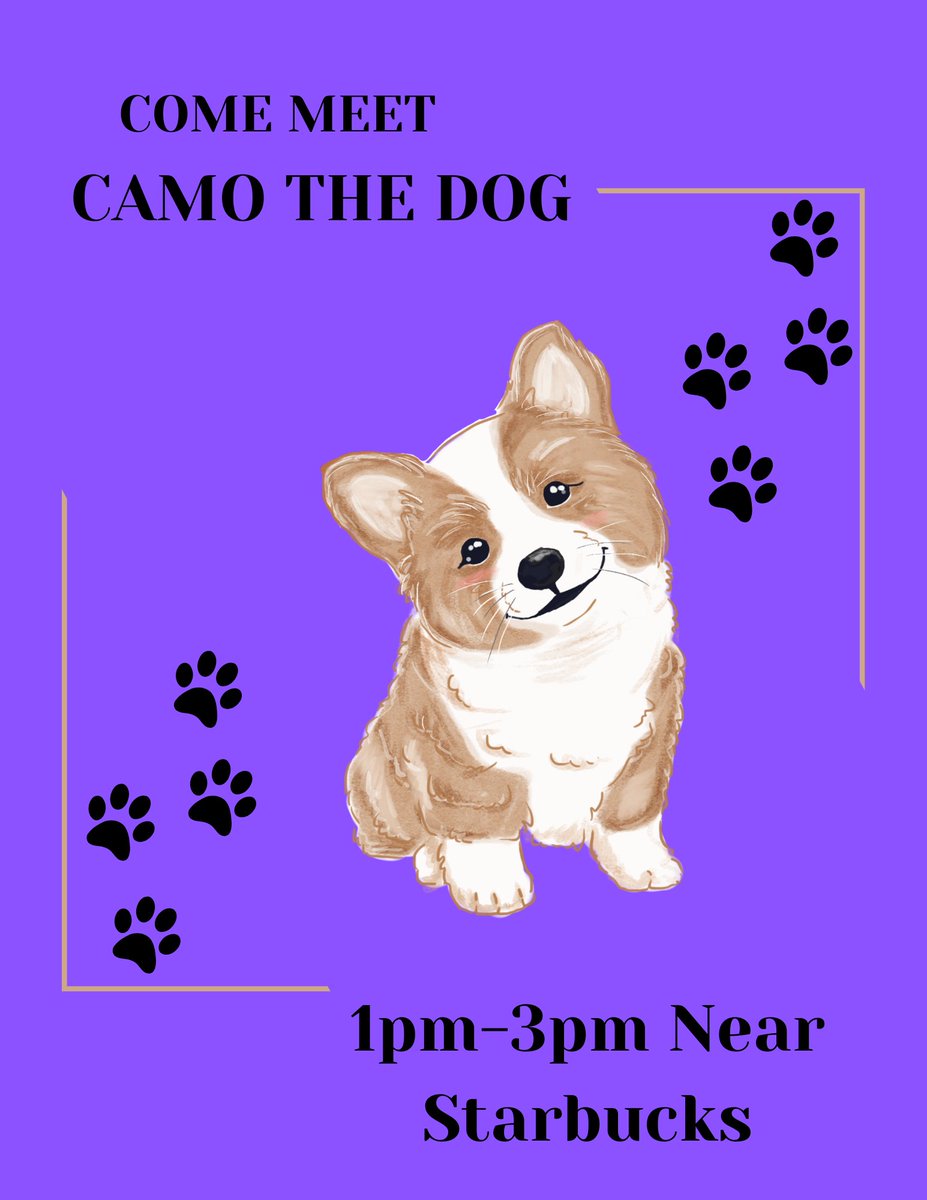 We have Camo, the therapy dog here at Torreyson from 1pm-3pm near Starbucks. Come meet him, pet him or just say "hi"!