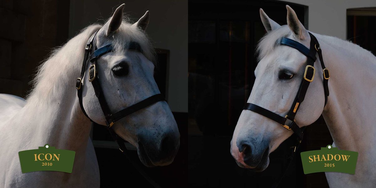 The Royal Family tweet media