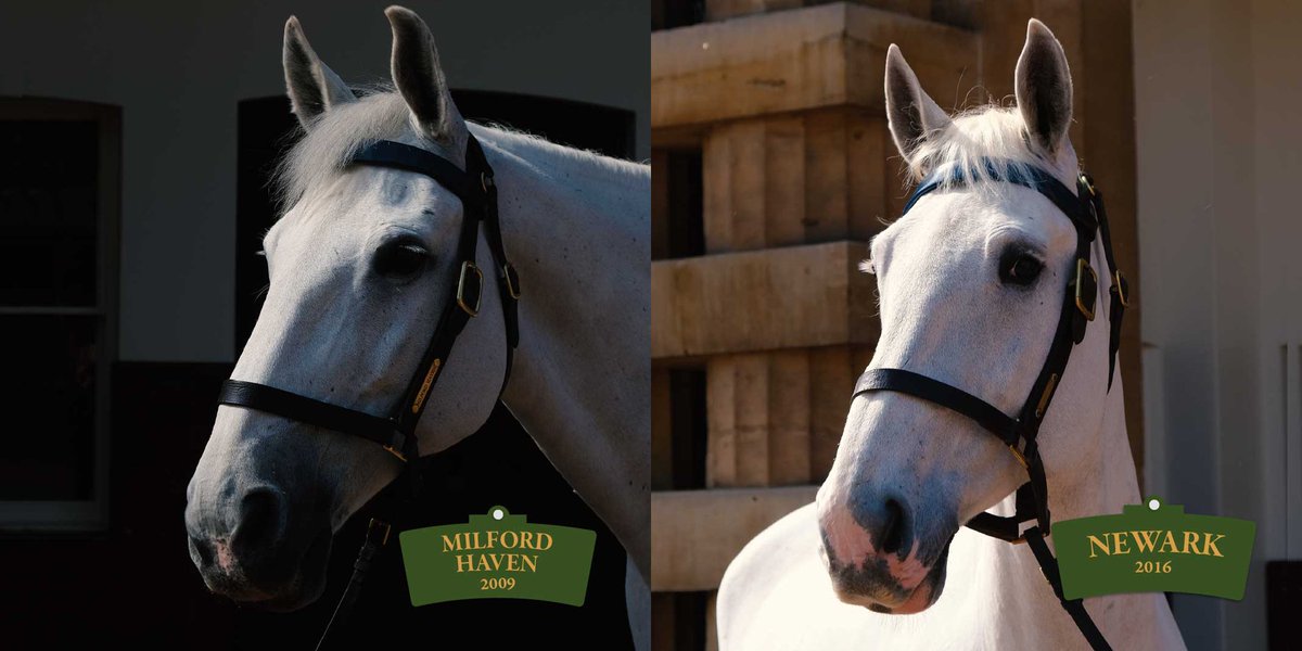 The Royal Family tweet media