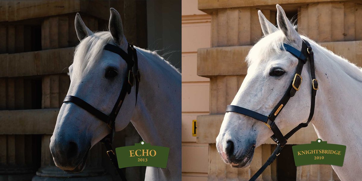 The Royal Family tweet media