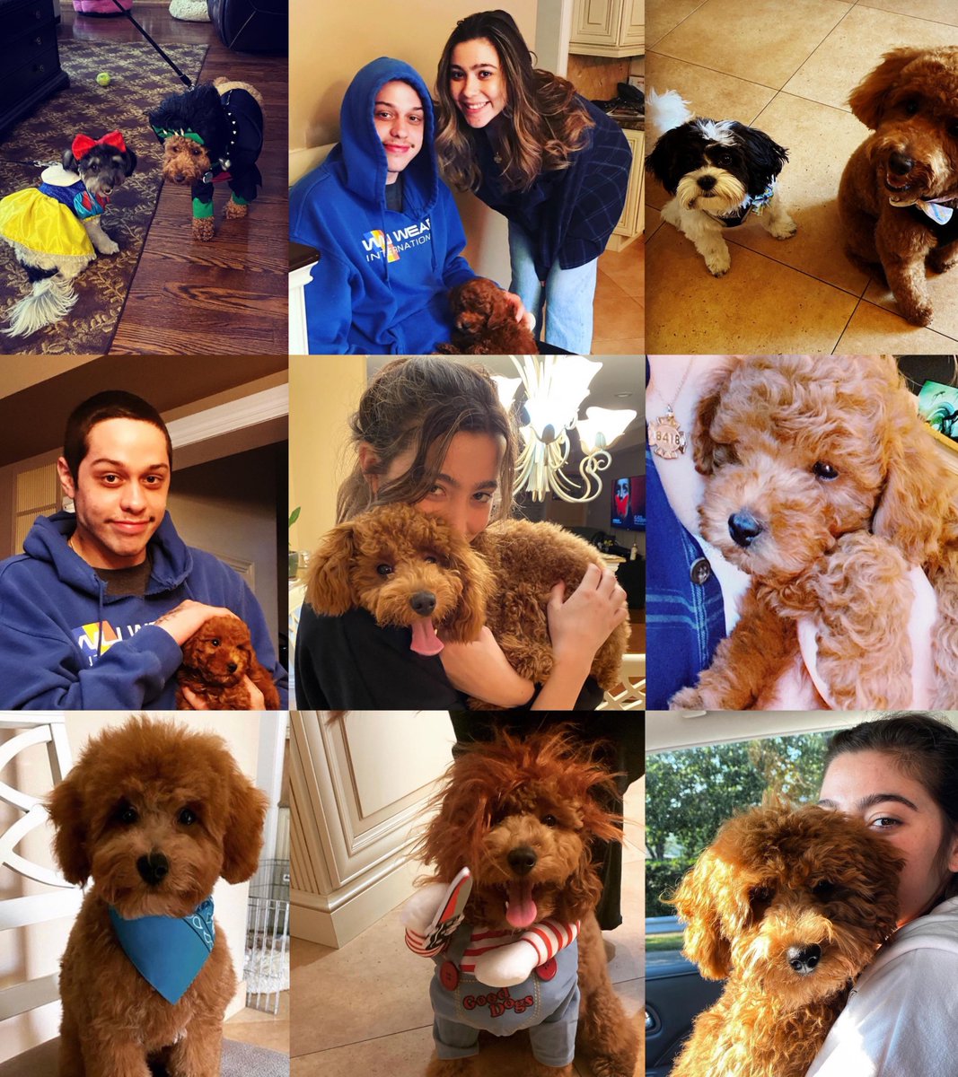 best of pete davidson tweet media