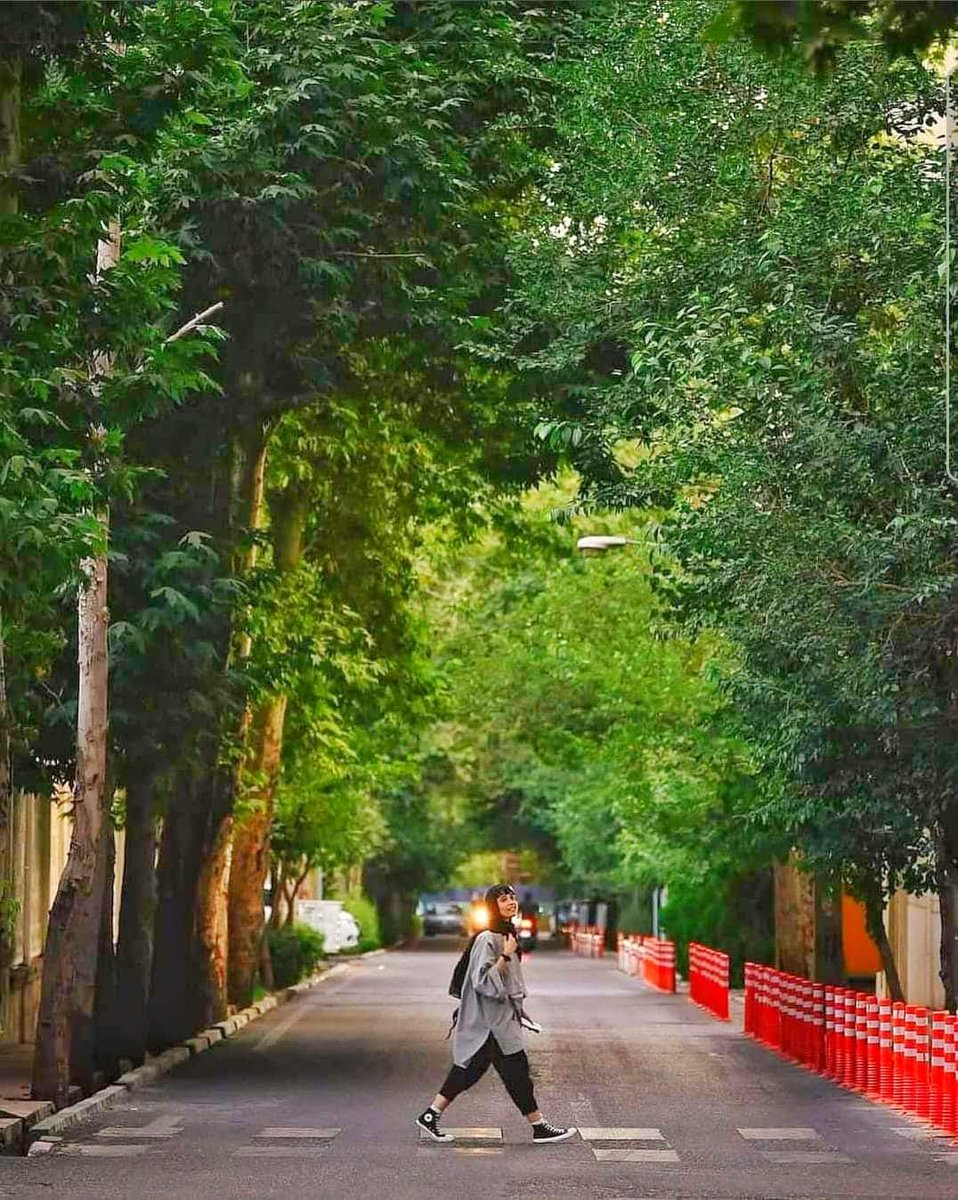 BAbdulali16505's tweet photo. Tehran City https://t.co/wyXgXevURa