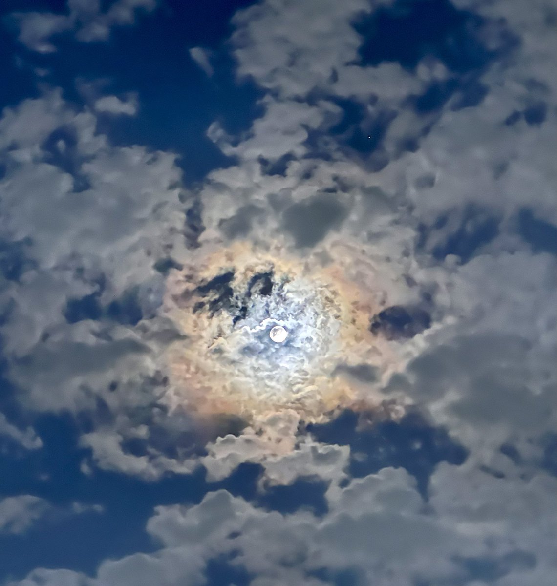 Smita Sabharwal tweet media