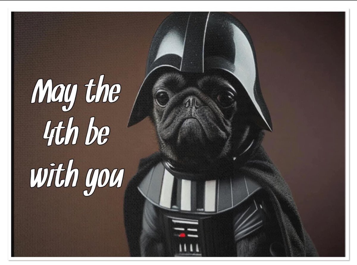 angelical7's tweet photo. May the 4th be with you https://t.co/xcQAG0HkQs