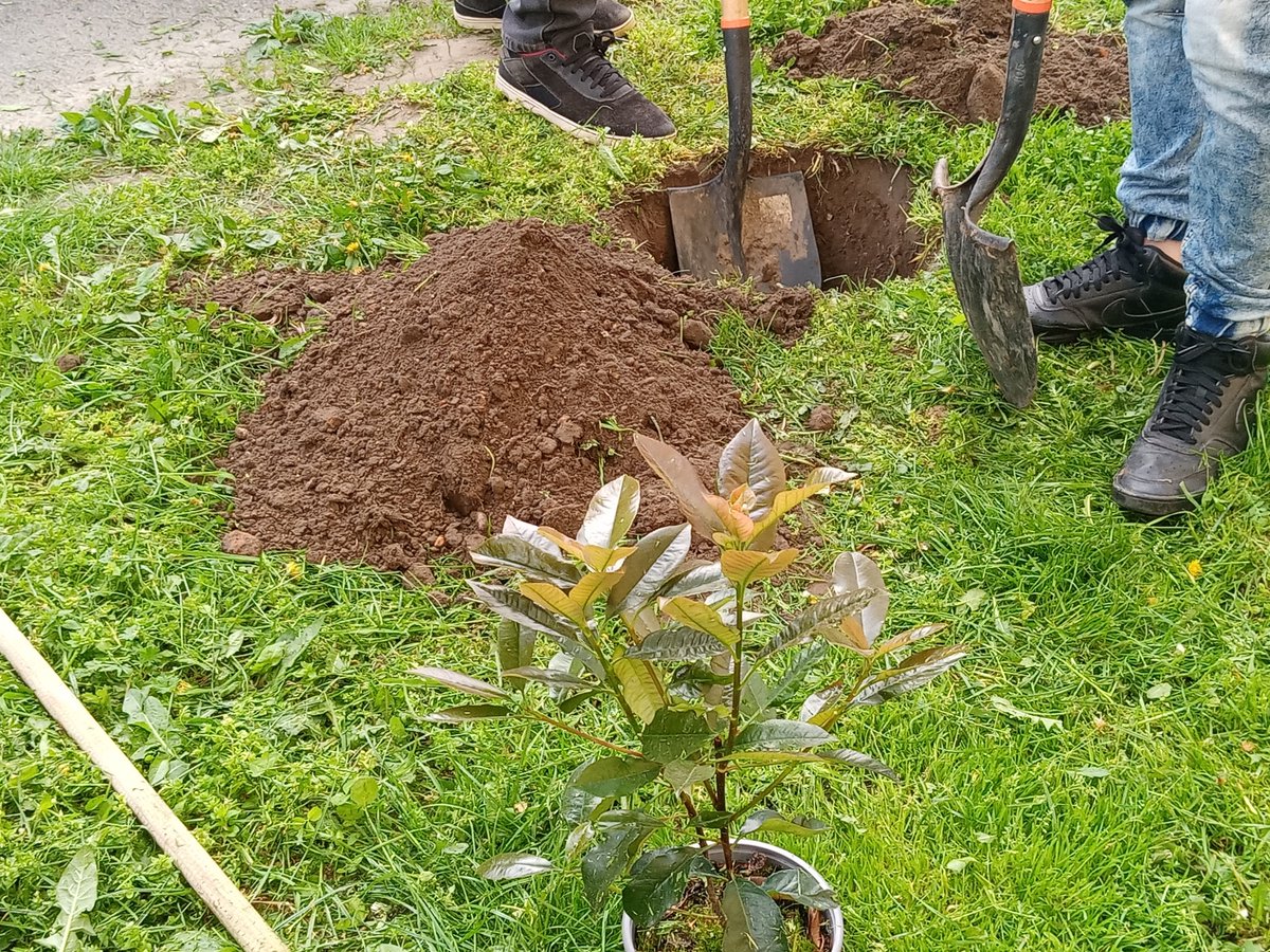 okovaros's tweet photo. Tesco Blue Token Campaign in Debrecen, Hungary

We planted flowering shrubs for a healthy urban environment and the wildlife

Megvalósult újabb növényültetési akciónk Debrecenben! Köszönjük a szavazatokat és a Tesco támogatását!
#UrbanGreeningProject #Tesco #DebrecenHungary https://t.co/tFKH7l6mPS