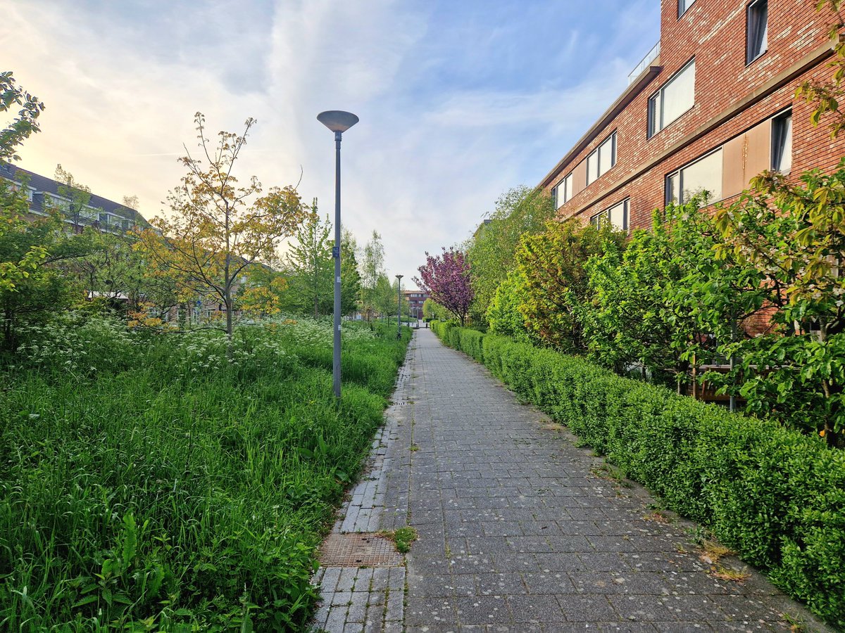 Lior Steinberg tweet media