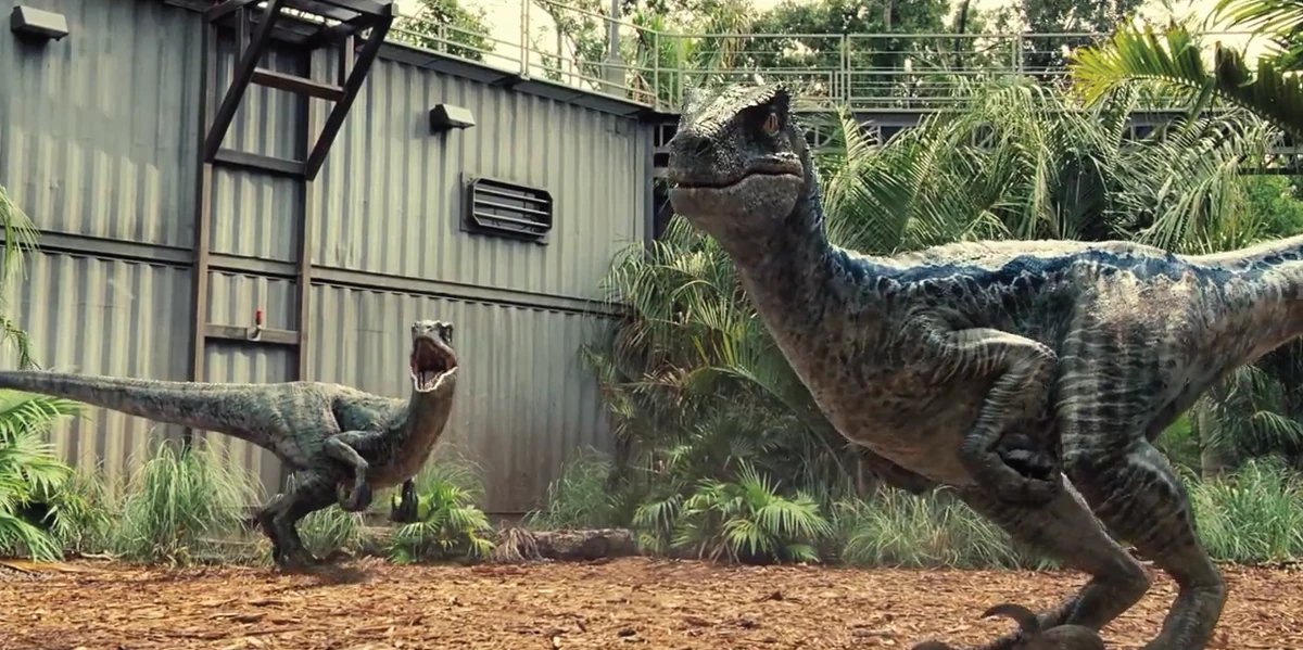 EvoSquareYT's tweet image. Never liked how they redesigned the raptors for Jurassic World. Image on the left is by Benjee10 on Deviantart and they look so much better!

Link to the original: tinyurl.com/5h4uuwe3 (it&apos;s an old post but I had never seen this before and wowowowow I love it)