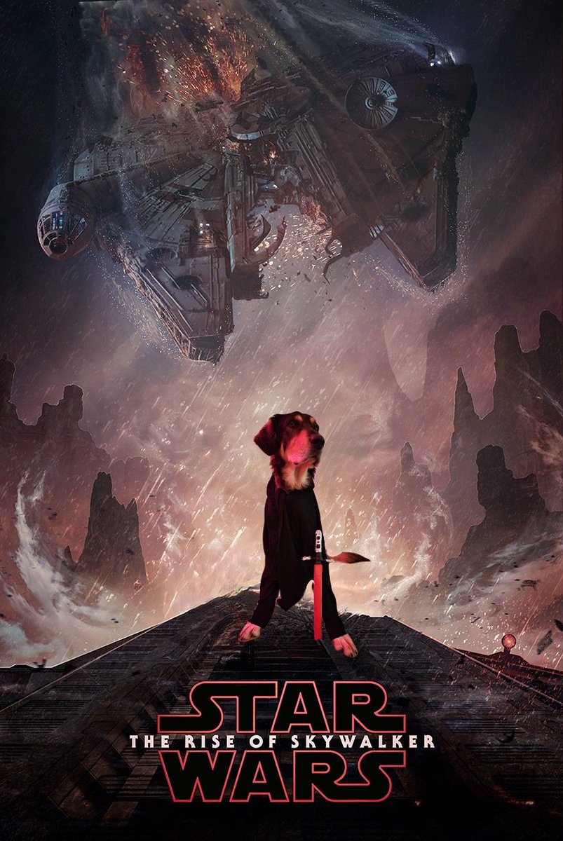 jatinkrmalik's tweet photo. May the 4th be with you! 🐶

@starwars @DisneyPlus @Lucasfilm @DisneyPlusHS

#StarWars https://t.co/I9Vt8pUhdO