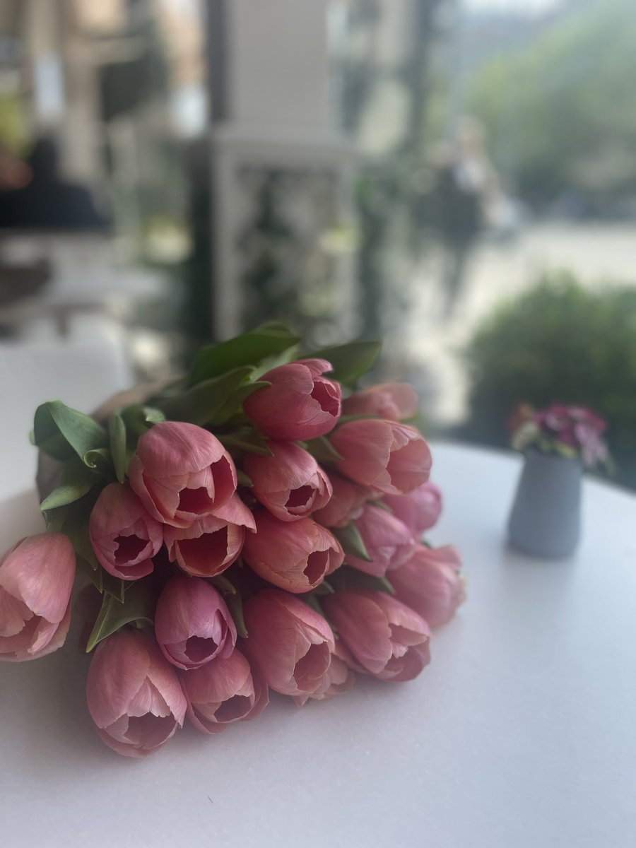 mervebilginim's tweet photo. Anneciğime en sevdiğim çiçeği aldım. Kişi  sevdiğine, sevdiğinden ikram edermiş 🌷 https://t.co/DSzDB6gH4w