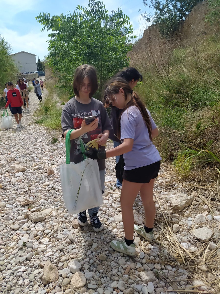 IEDMangrane's tweet photo. ‼️40,5 kg de residus recollits al barranc dels Molins 🚯, i més de 1300 unitats etiquetades i georeferenciades amb l'aplicació @litterati 📲. Resultat de l'acció del #letscleanupeurope 🌱 amb alumnat i docents de 1r d'ESO #escolesverdes #escolesperlebre #catalunyacleanupchallenge https://t.co/D9KItFv7Sh