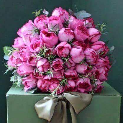 Essam Fouad tweet media