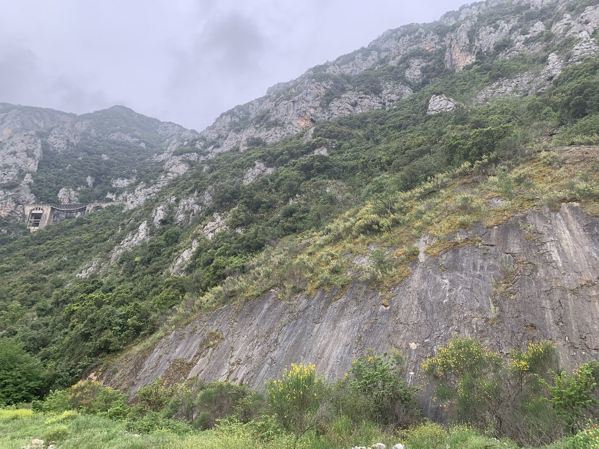 Sam Mitchell tweet media