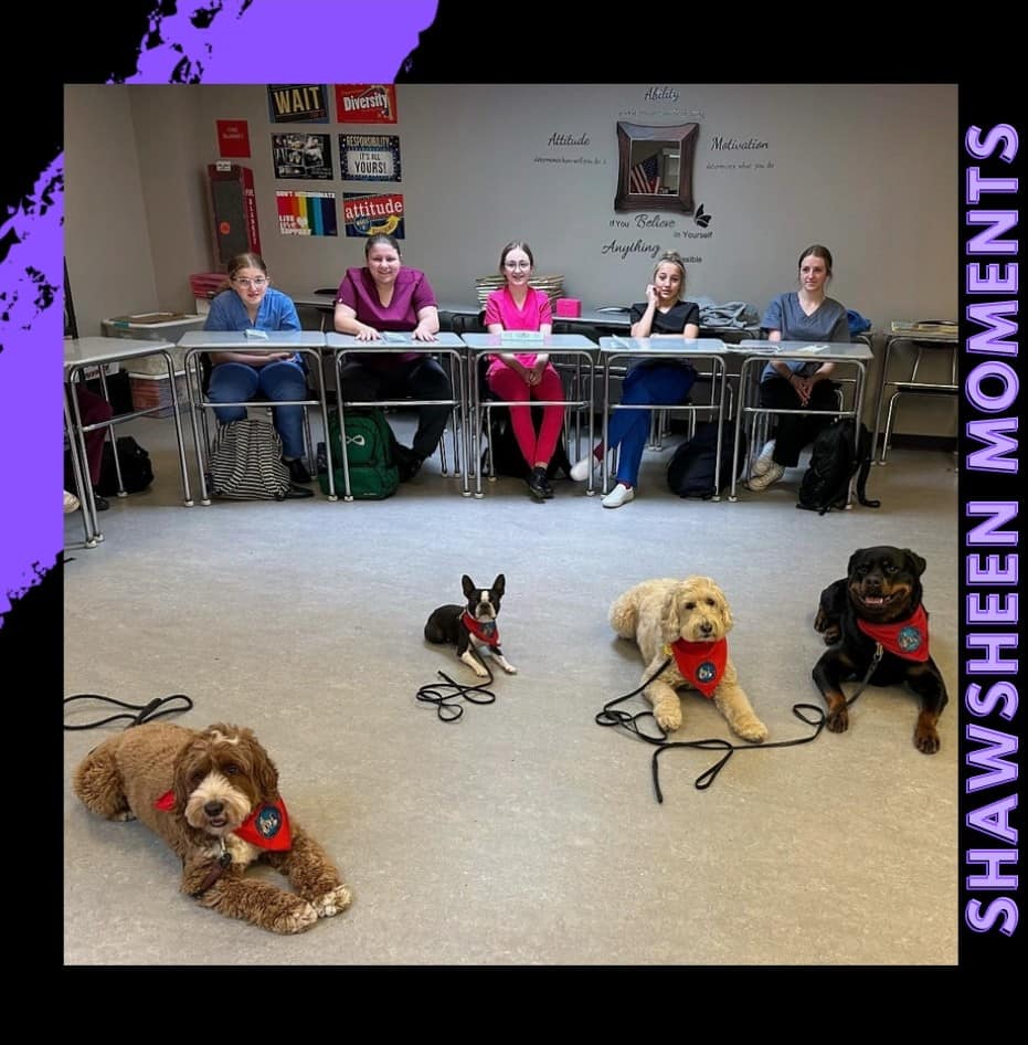 shawtech_hs's tweet photo. SRO Hanley and Officer Waffles visited Shawsheen's #HealthAssisting program last week to talk with first-year students about working with #serviceanimals.  #Thankyou @TewksburyPD for the pictures and your annual visit! #ShawTechThrowbackThursday https://t.co/8leuGDAVu7