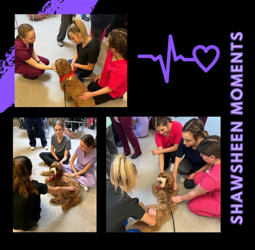 shawtech_hs's tweet photo. SRO Hanley and Officer Waffles visited Shawsheen's #HealthAssisting program last week to talk with first-year students about working with #serviceanimals.  #Thankyou @TewksburyPD for the pictures and your annual visit! #ShawTechThrowbackThursday https://t.co/8leuGDAVu7
