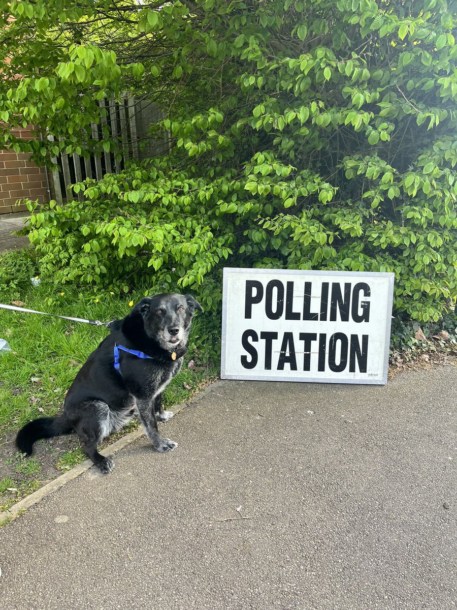 RavelClark's tweet photo. #dogsatpollingstations 🖤 https://t.co/LUWbtITfTC
