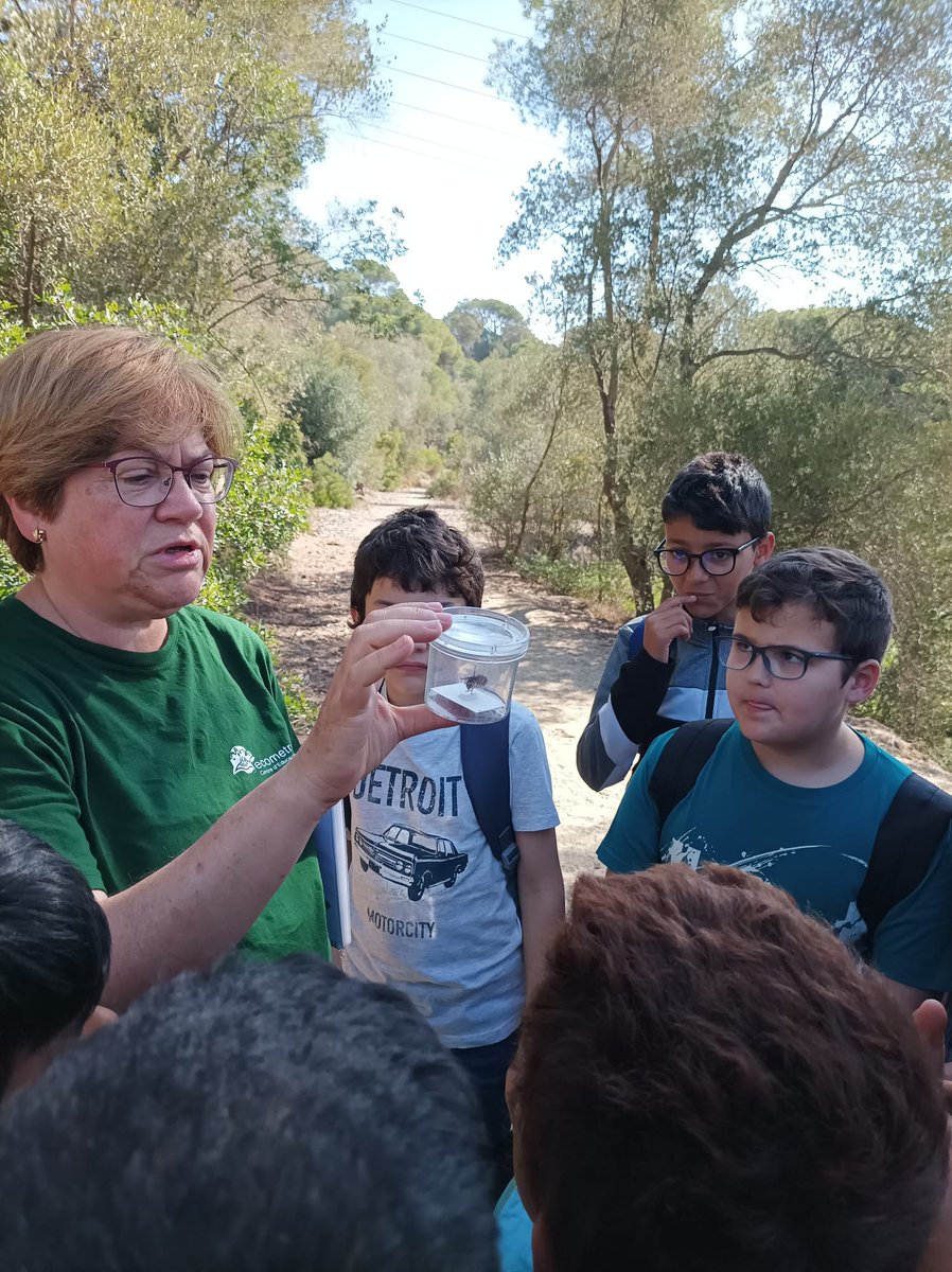 EscolaTanit's tweet photo. 5è i 6è anem a l'@ecometropoli.  Aprenem sobre seguretat vial tot gaudint amb els karts de motor 🏎 i fem una breu passejada per la #SerraladadeMarina 🌲🌳🌱🌿🌾parlant de les espècies autòctones del bosc mediterrani i problemàtiques com ara les amenaces d'espècies invasores. https://t.co/kRdAF6Wyp7